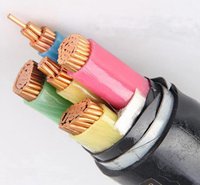 YJV低壓電纜樣品，選用電纜優(yōu)先“番禺”老品牌值的信賴(lài)